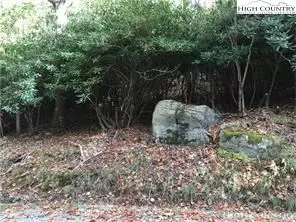 108 110 Jackpine Rd, Beech Mountain, NC 28604 photo 3