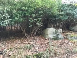 108 110 Jackpine Rd, Beech Mountain, NC 28604 photo 4