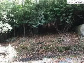 108 110 Jackpine Rd, Beech Mountain, NC 28604 photo 5