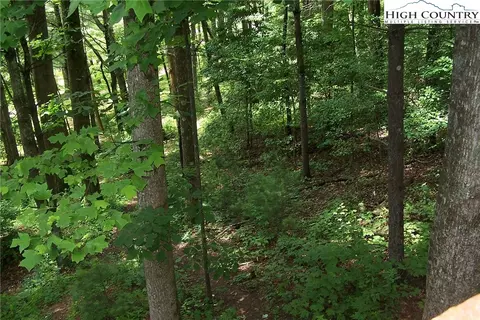 159 Frog Hollar Rd, Deep Gap, NC 28618 photo 32