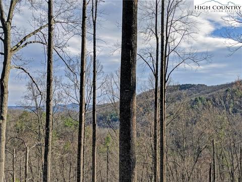 208 Wishbone Dr, Deep Gap, NC 28618 photo 29