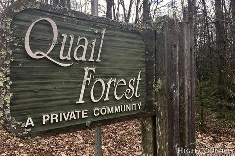 lot12 Oak St, Linville, NC 28646