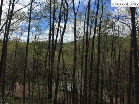 216 Birch Ln, Deep Gap, NC 28618 photo 18