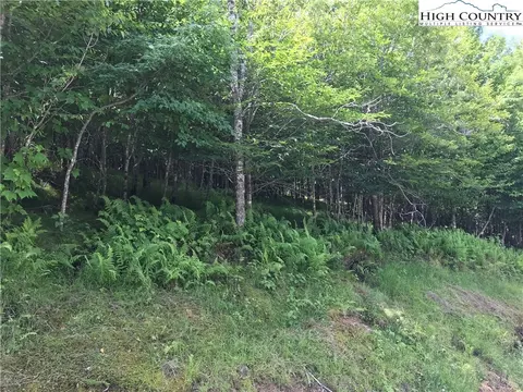 122 Briarwood Rd, Beech Mountain, NC 28604 photo 2