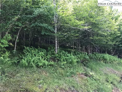 122 Briarwood Rd, Beech Mountain, NC 28604 photo 1