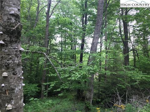 207 Foxgrape Hollow Rd, Beech Mountain, NC 28604 photo 10