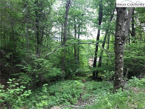 207 Foxgrape Hollow Rd, Beech Mountain, NC 28604 photo 5