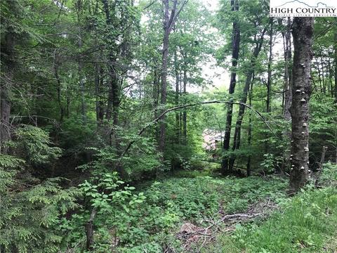 207 Foxgrape Hollow Rd, Beech Mountain, NC 28604 photo 7