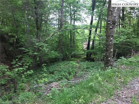 207 Foxgrape Hollow Rd, Beech Mountain, NC 28604 photo 3