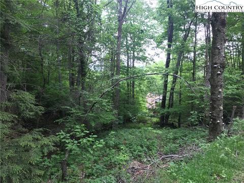 207 Foxgrape Hollow Rd, Beech Mountain, NC 28604 photo 8