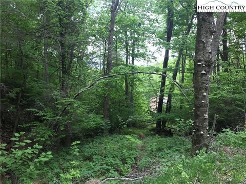 207 Foxgrape Hollow Rd, Beech Mountain, NC 28604 photo 1