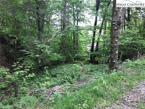 207 Foxgrape Hollow Rd, Beech Mountain, NC 28604 photo 2
