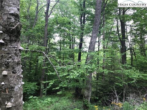207 Foxgrape Hollow Rd, Beech Mountain, NC 28604 photo 9