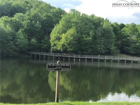 207 Foxgrape Hollow Rd, Beech Mountain, NC 28604 photo 13