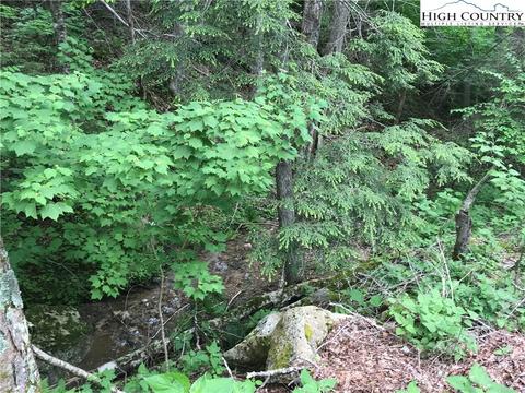 207 Foxgrape Hollow Rd, Beech Mountain, NC 28604 photo 6