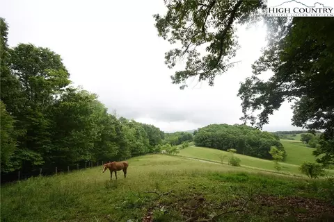 729 Graystone Rd, Independence, VA 24348 photo 44