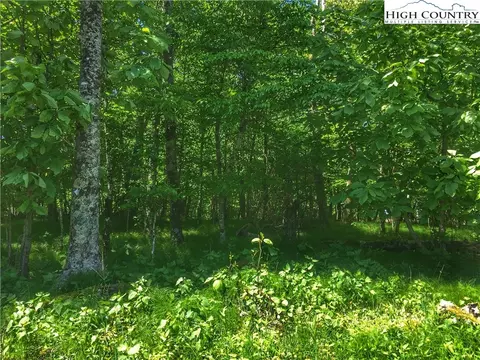 109 Skiway Cir, Beech Mountain, NC 28604 photo 2