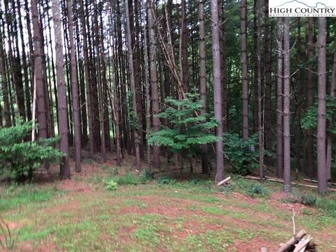 200 Rivercrest Dr, Crumpler, NC 28617 photo 6