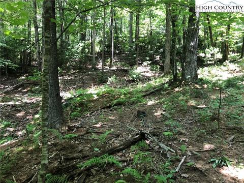451 Patton Ridge Rd, Deep Gap, NC 28618 photo 41