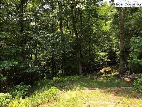 451 Patton Ridge Rd, Deep Gap, NC 28618 photo 40