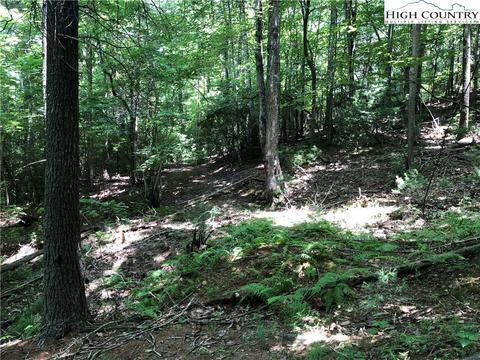 451 Patton Ridge Rd, Deep Gap, NC 28618 photo 42