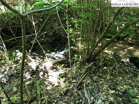 451 Patton Ridge Rd, Deep Gap, NC 28618 photo 43