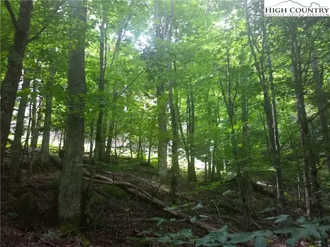171 Wild Daisy Ln, Beech Mountain, NC 28604 photo 2