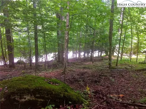 171 Wild Daisy Ln, Beech Mountain, NC 28604 photo 3