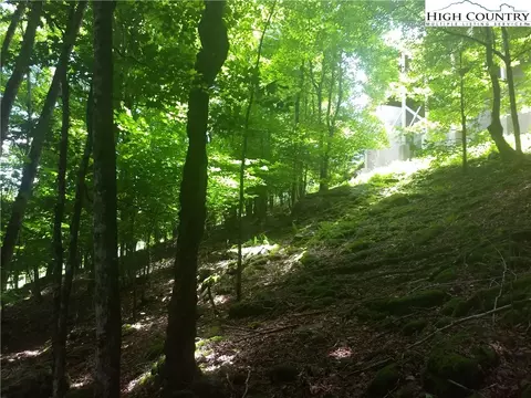 171 Wild Daisy Ln, Beech Mountain, NC 28604 photo 4