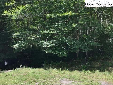 141 Wild Daisy Ln, Beech Mountain, NC 28604 photo 3