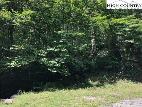 141 Wild Daisy Ln, Beech Mountain, NC 28604 photo 5