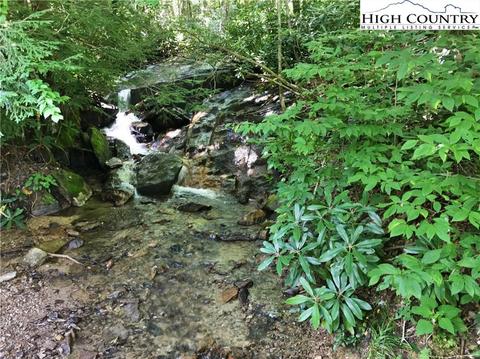 141 Wild Daisy Ln, Beech Mountain, NC 28604 photo 2
