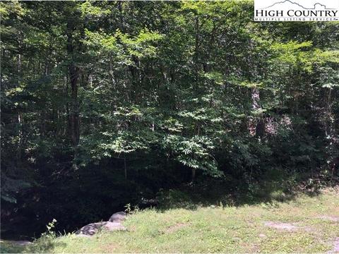 141 Wild Daisy Ln, Beech Mountain, NC 28604 photo 4