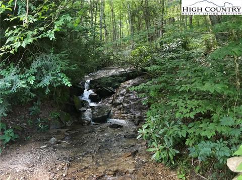141 Wild Daisy Ln, Beech Mountain, NC 28604 photo 1