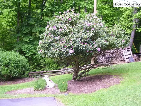 874 Long Branch Rd, Lansing, NC 28643 photo 25
