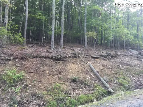 120 Poplar Dr, Beech Mountain, NC 28604 photo 6