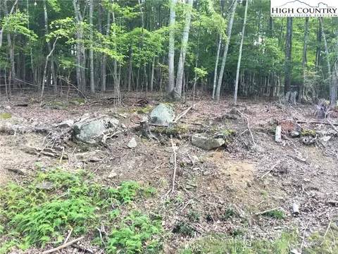 120 Poplar Dr, Beech Mountain, NC 28604 photo 3