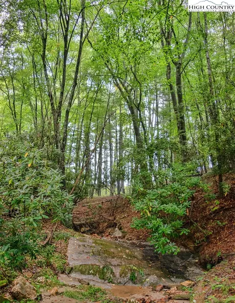 288 Shadow Rock Rd, Sparta, NC 28675 photo 4