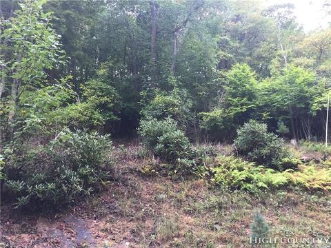 110 Laurel Ln, Beech Mountain, NC 28604 photo 2