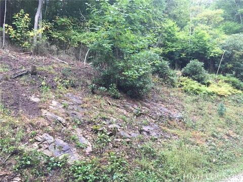 110 Laurel Ln, Beech Mountain, NC 28604 photo 5