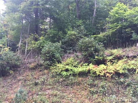 110 Laurel Ln, Beech Mountain, NC 28604 photo 1