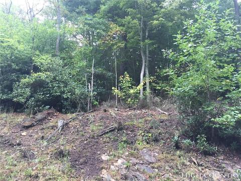 110 Laurel Ln, Beech Mountain, NC 28604 photo 3