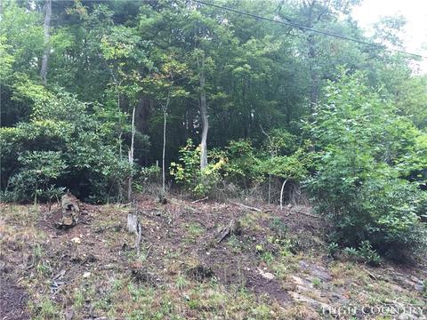 110 Laurel Ln, Beech Mountain, NC 28604 photo 4