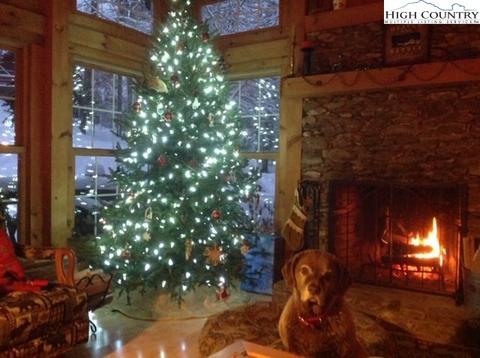 498 Thorn Tree, Boone, NC 28607 photo 32
