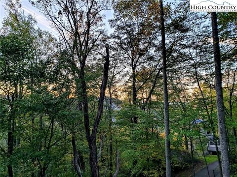 498 Thorn Tree, Boone, NC 28607 photo 29