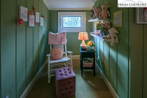 678 Schaffer Rd, Boone, NC 28607 photo 24