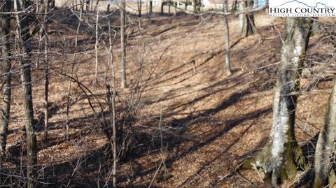 tbd Deer Park Ln, Sparta, NC 28675 photo 10