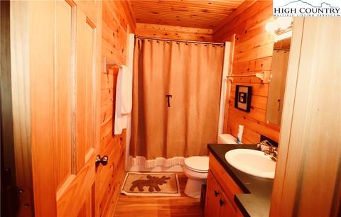 1447 Buck Mountain Rd, Purlear, NC 28665 photo 15