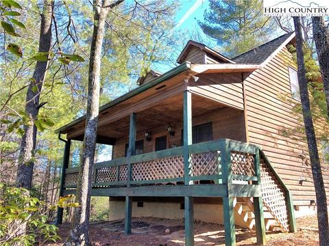 1447 Buck Mountain Rd, Purlear, NC 28665 photo 3