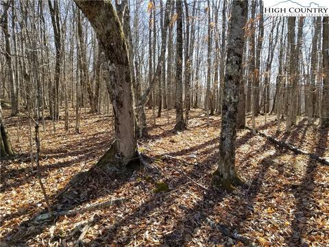 237 Upper Grouse Ridge Rd, Beech Mountain, NC 28604 photo 7